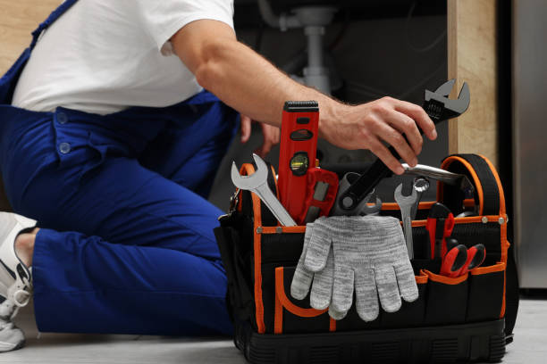 Best Affordable Plumber Near Me  in Tinley Park, IL