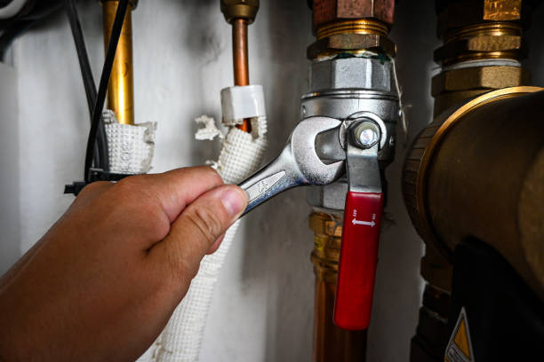 Best Sewer Line Repair  in Tinley Park, IL